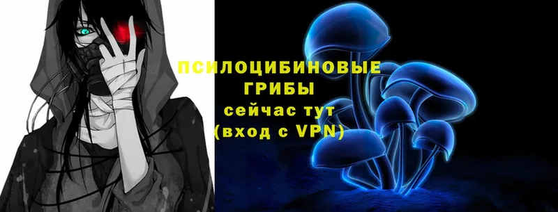 Галлюциногенные грибы прущие грибы  blacksprut вход  маркетплейс телеграм  Рыбинск 